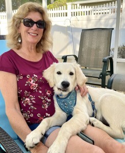 dog whisperer, dog love, Golden Retriever,