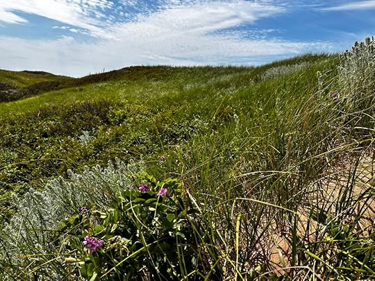 PEI sand dunes, blue sky, clouds