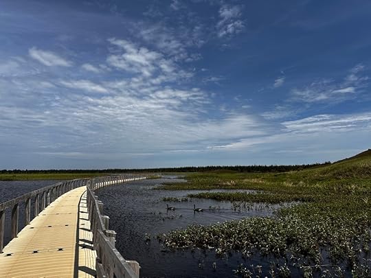 Floating boardwalk, Greenwich Beach