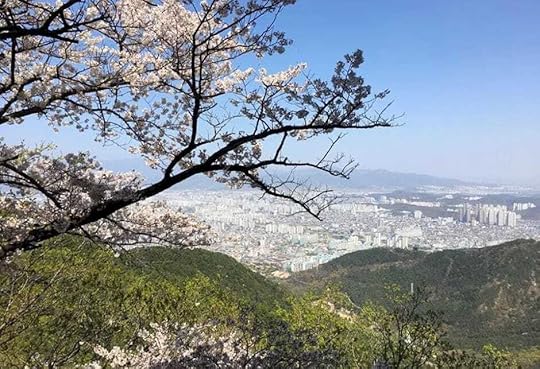 SOUTH KOREA DAEGU ITINERARY