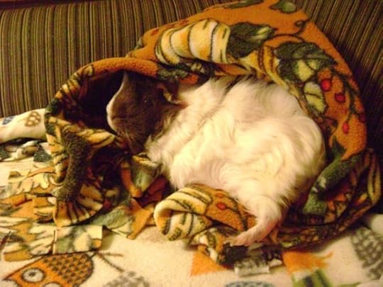 Rachel E Smith guinea pig Snuffy
