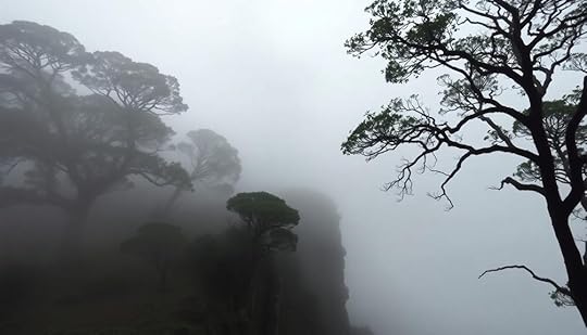 nuuanu pali lookout s haunting past
