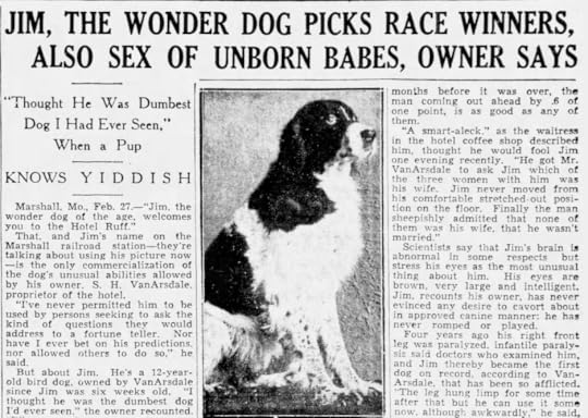 Jim the Wonder Dog