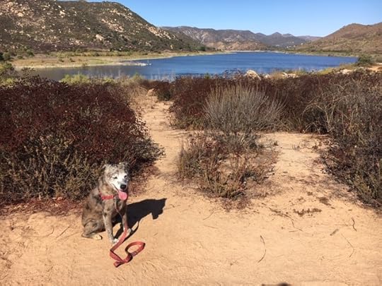 Karlie and the lake in 2020