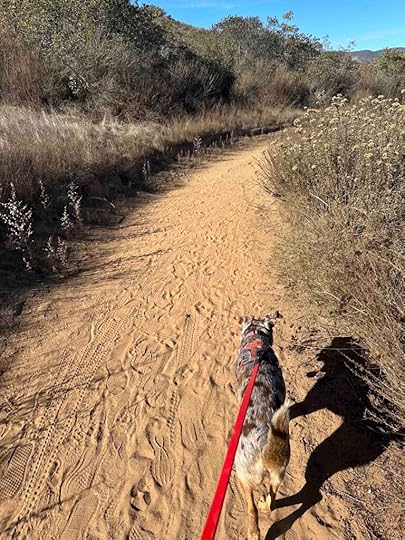 on the trail at San Dieguito River Park Trail - Rancho Bernardo