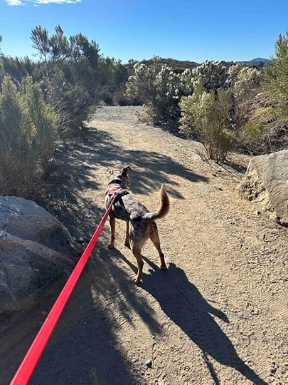 entrance to the trail