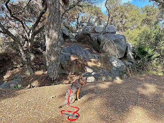 Buena Vista Park Trails