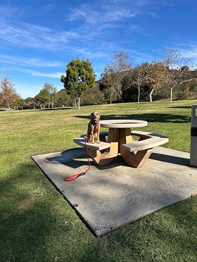picnic area at Buena Vista Park Trails
