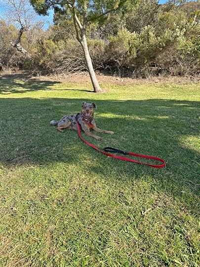 lounging on the grass at Buena Vista Park