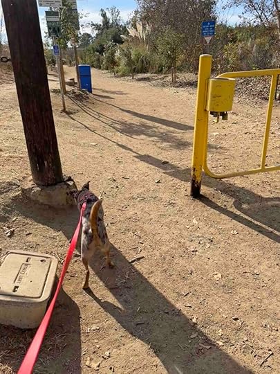 entrance to the trails