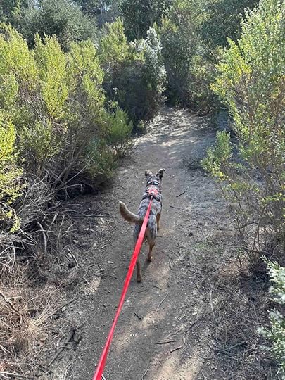 on the trail at Buena Vista Park Trails