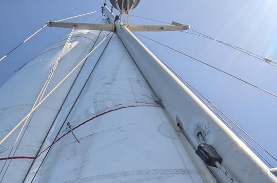 The old sail aloft