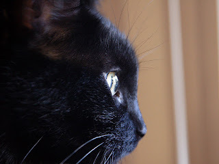 Panzer says, There are a lot of markets here.