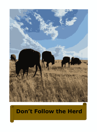 Don't Follow the Herd