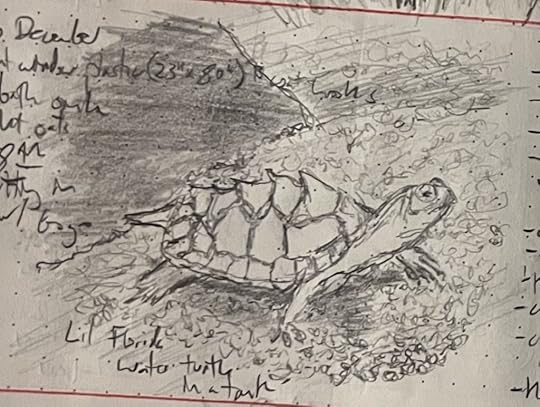 A pencil sketch of a small semi-aquatic Florida turtle with a spiky shell and quiet dignity.