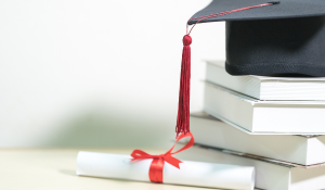 Revenge of the Arts degree