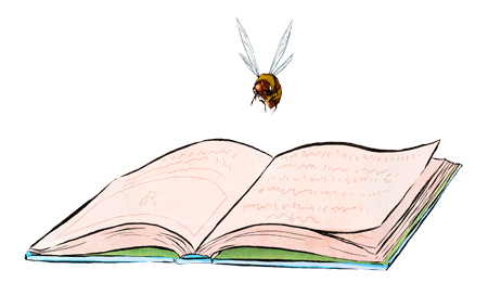 drawing of a bee hovering over the open pages of a book