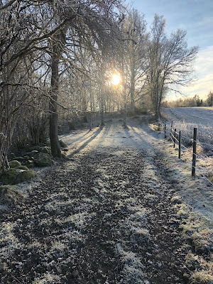 Winter. Nanne Nyander