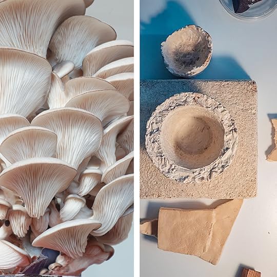 GIY Materials: Growing Fungi for Biofabrication
