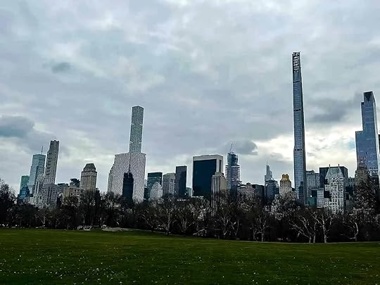 Central Park is a pleasure in any weather - New York City, USA.