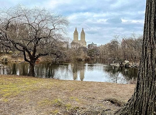 An oasis amidst the skyscrapers - Central Park in New York City, USA.