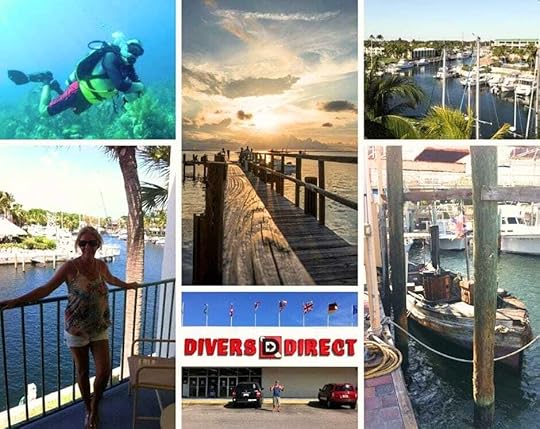 We took the Greyhound bus from Miami to Key Largo and it was an interesting ride through the everglades on Highway One.