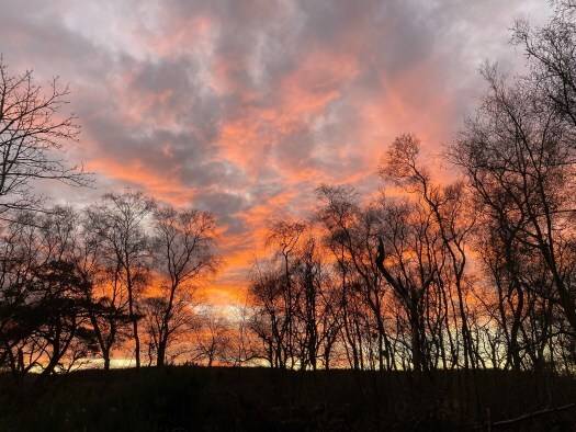 winter skies near the shortest day of the year.