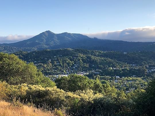 Mount Tamalpais, 2023