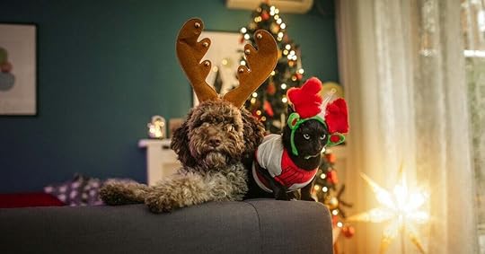 Happy Holidays from RAIN Group!