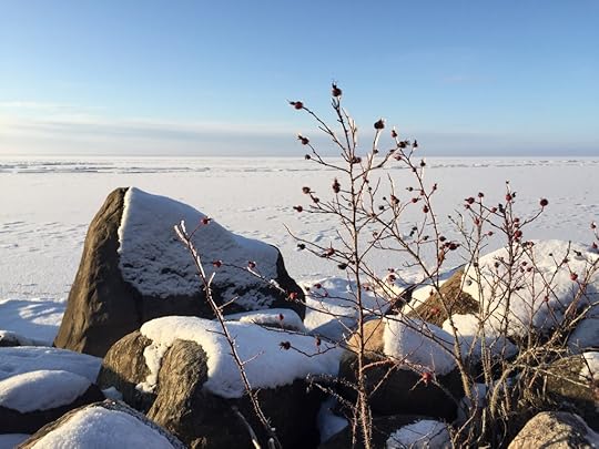 Snow on Lake Newell, Alberta