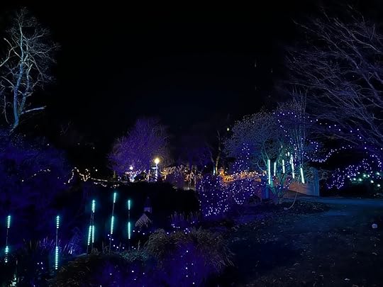 Bridge, trees, lights
