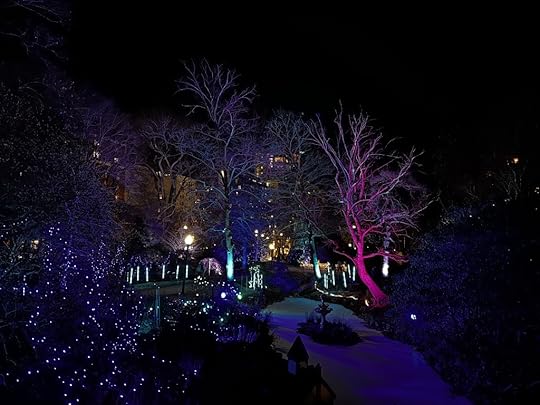 Trees and lights