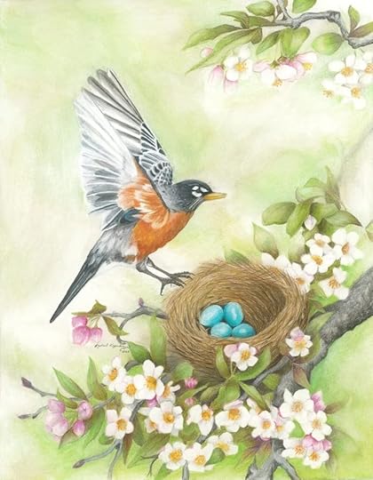 American Robin descends to its nest of blue eggs in a blooming apple tree
