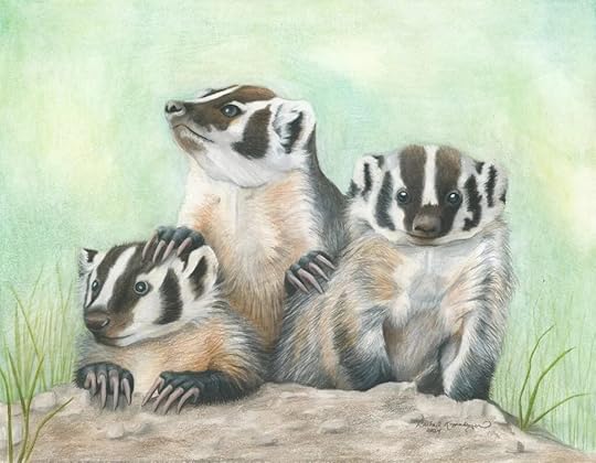 Three little badgers emerge from their hole on the lookout for fun