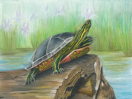Painted turtle suns himself on a log in the water