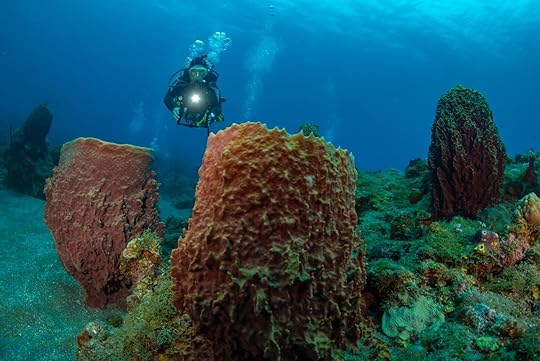 best adventure travel destinations of 2025 - saba
