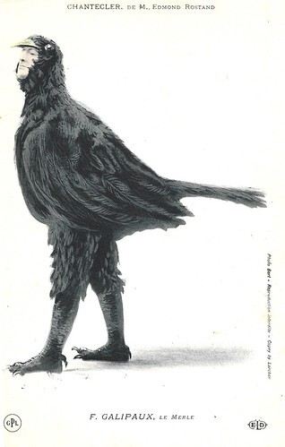 Chantecler (1910). Félix Galipaux as Le Merle/The Blackbird