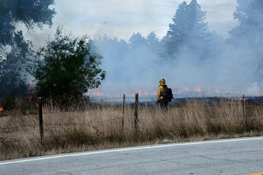 Firefighter watches a prescribed burn spread across Marshall Field. (Mark DeGraff -- Herald Correspondent)