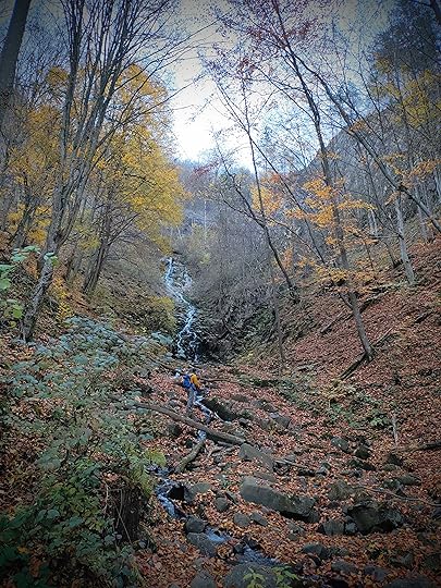 Cascada Saritoarea, Apuseni, Romania