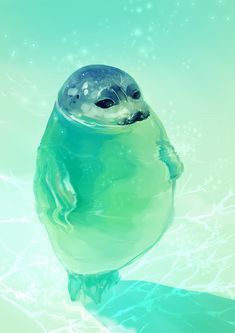 This may contain: an animal that is floating in the water