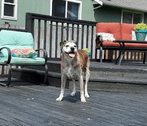 Boudin being the happiest boy