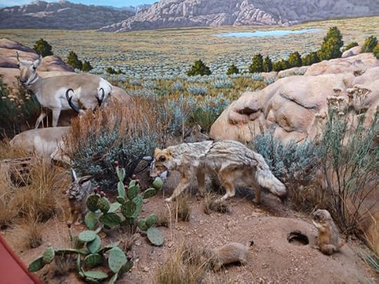 diorama, Wyoming State Museum