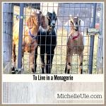 3 goats who live in a menagerie