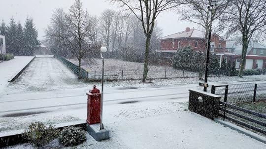 Snowy street