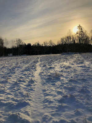 The Path - Nanne Nyander