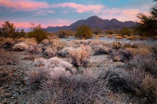 President Biden on Tuesday Jan. 7, 2025 established the Chuckwalla National Monument, a 624,000-acre protected area in the Southern California desert south of Joshua Tree National Park. (Bob Wick, Center for Western Priorities)