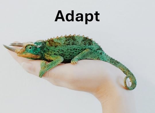 The 'Adaptive Teaching' Collection