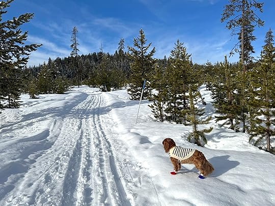 Nellestandskitrailbluesky