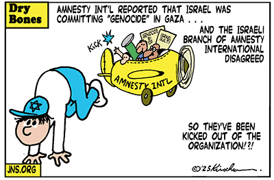 Dry Bones cartoon, AntiIsraelism, Antisemitism, Woke, Amnesty, Gaza, Palestine, Israel,