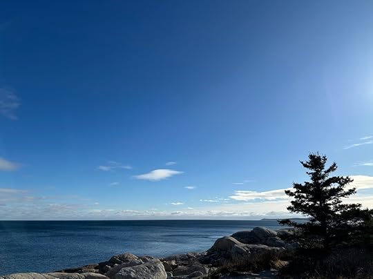 Ocean, rocks, trees